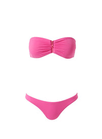 Cayman Flamingo Bikini Cutout 